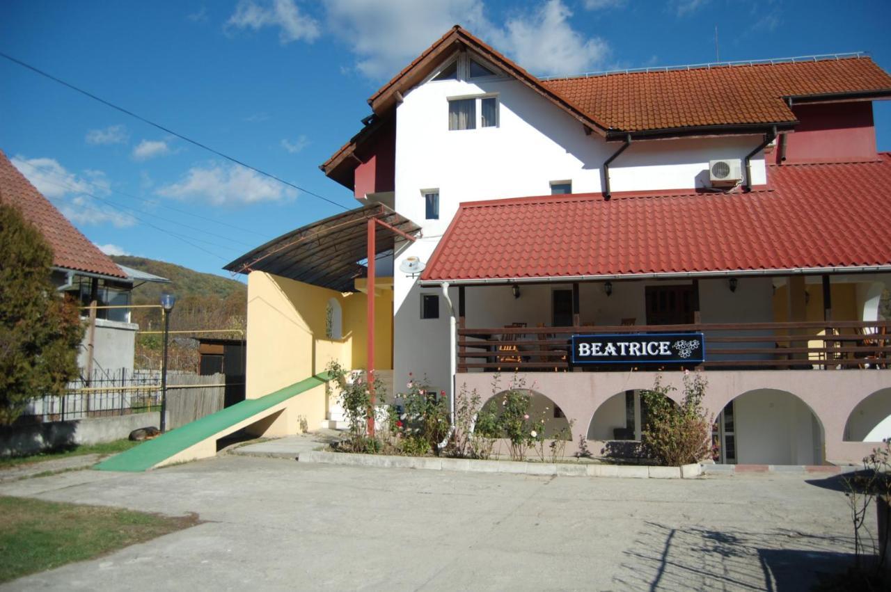 בית הארחה Beatrice Râmnicu Vâlcea
